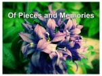 Of Pieces and Memories cover picture